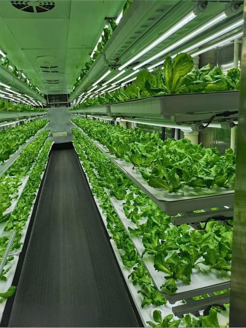 南宫娱乐·NG28(中国)官方网站